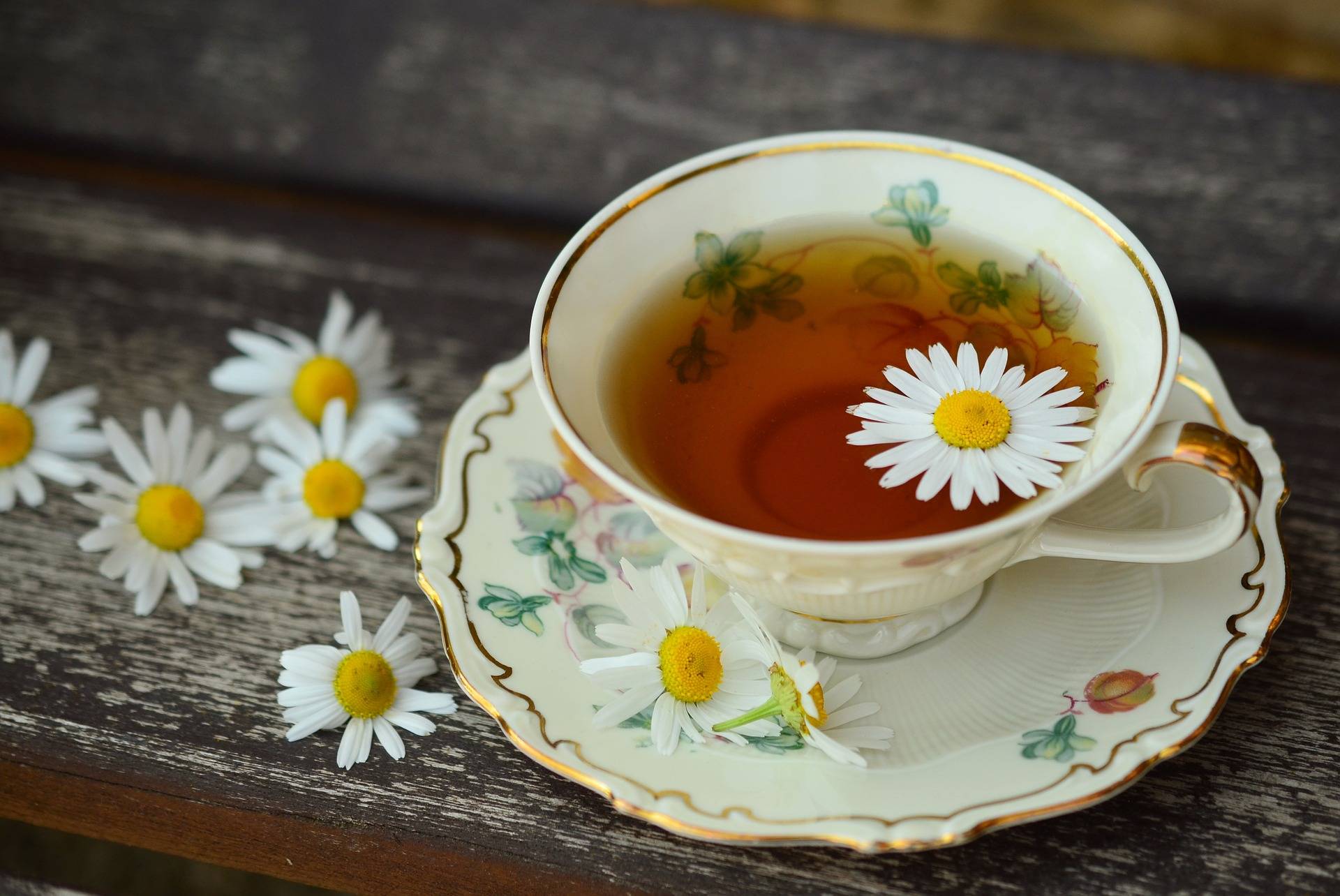 Tee Aufbewahrung und Haltbarkeit - wie lange ist Tee haltbar?